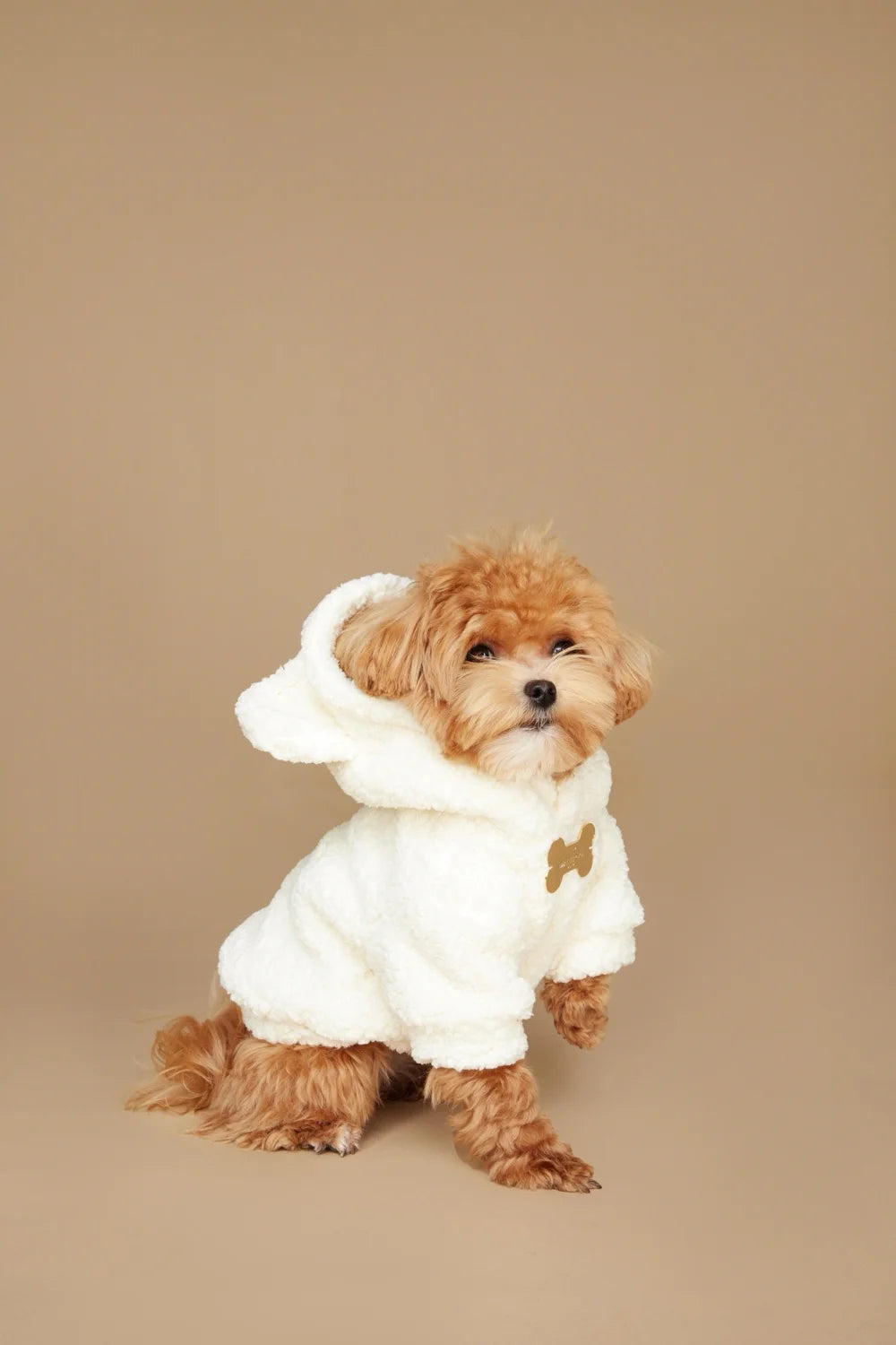 Teddy plush hoodie