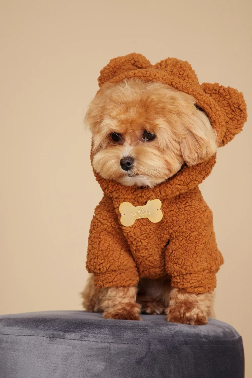 Teddy plush hoodie