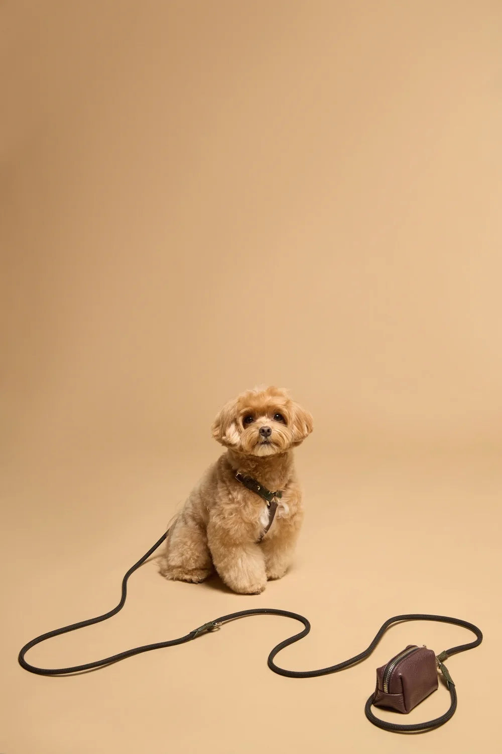 Easy Rope leash