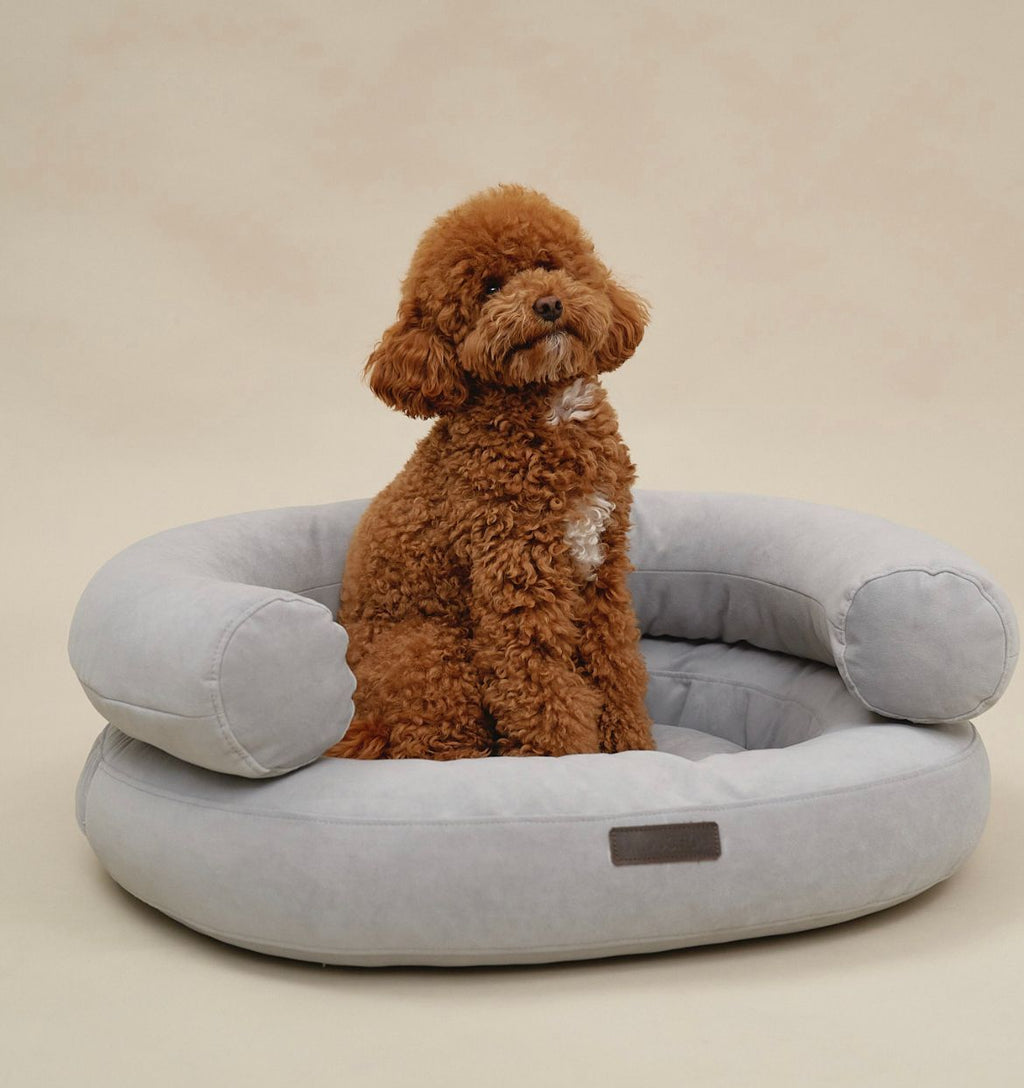 CHOUCHOU orthopedic bed for dogs “Marshmallow” brown