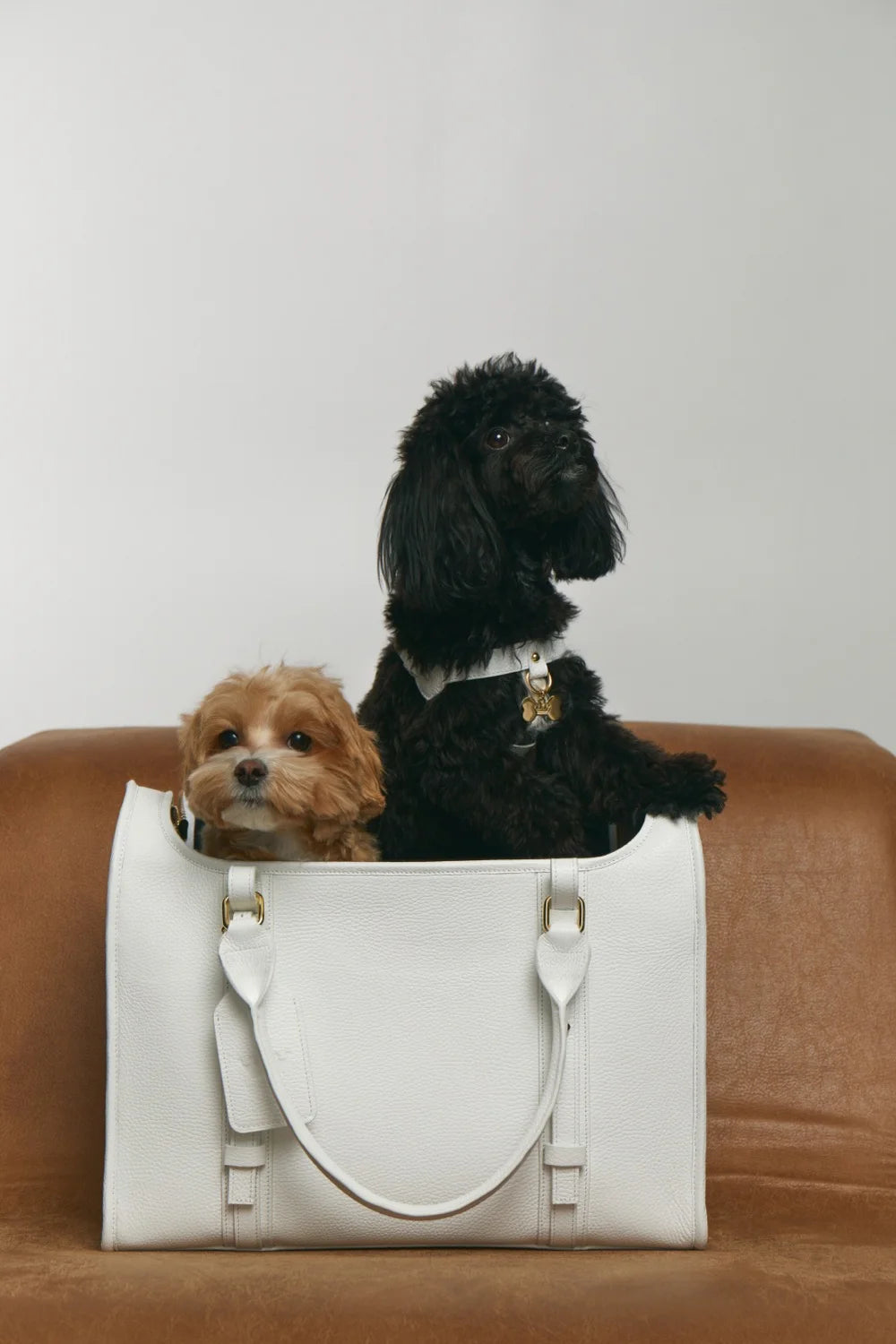Leather airline carry-on bag "Avia-carrier"