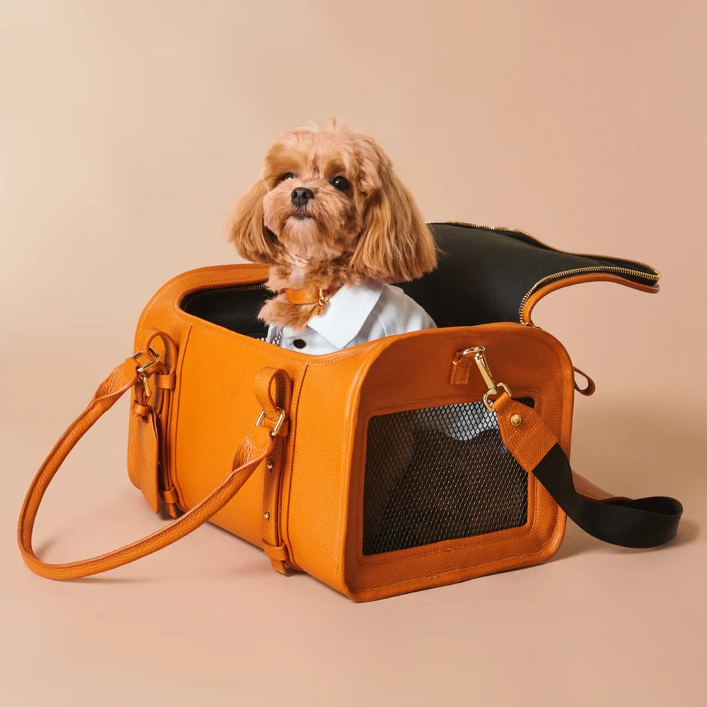 Leather carrying bag "Avia-carrier Mini"