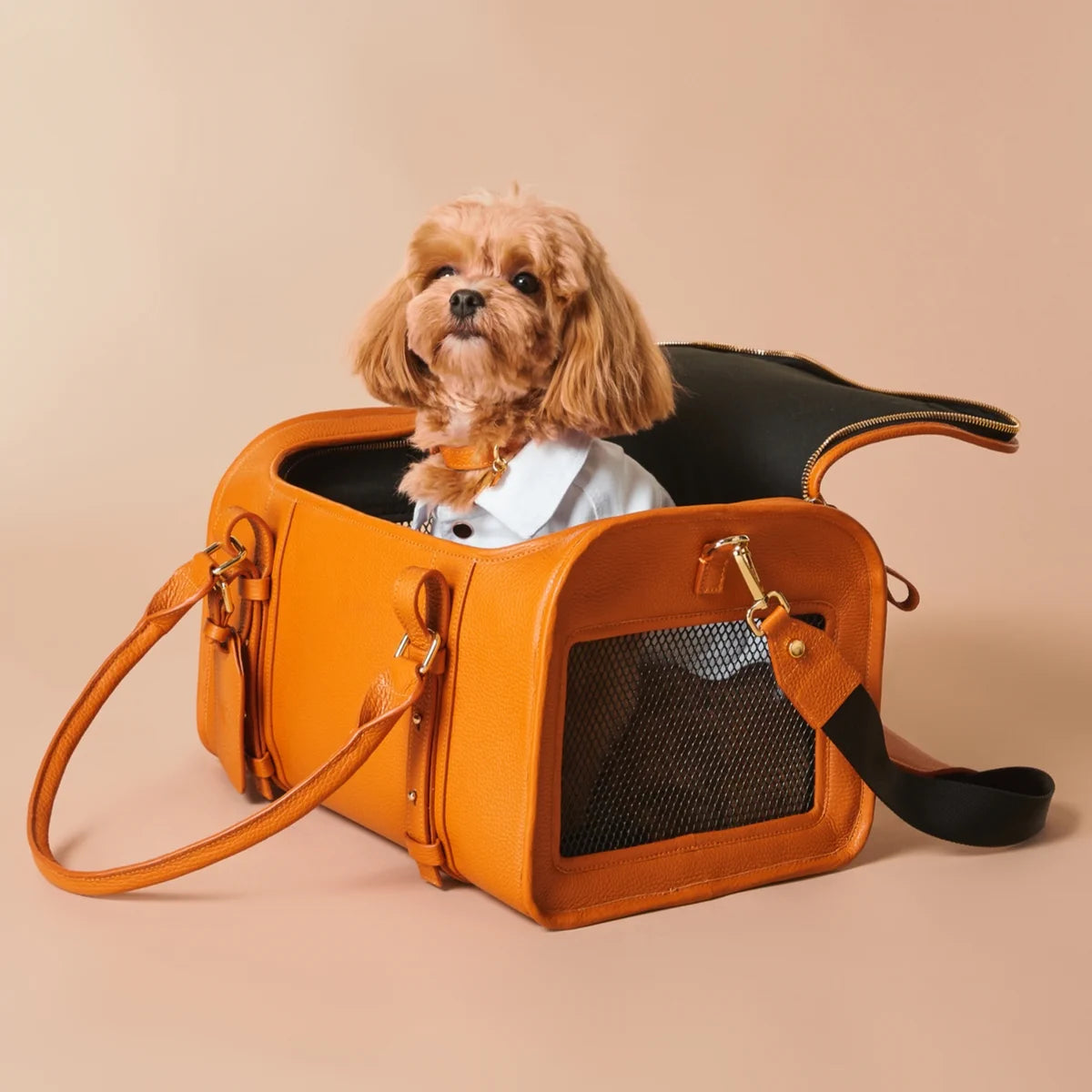 Leather carrying bag "Avia-carrier Mini"