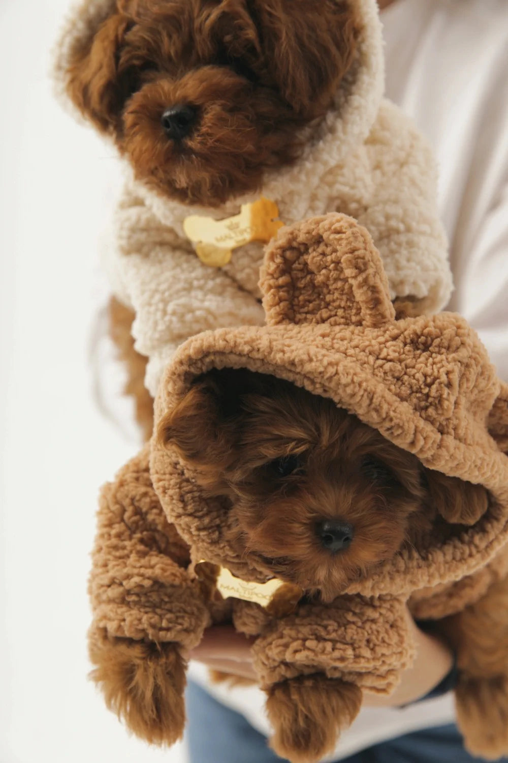 Teddy plush hoodie
