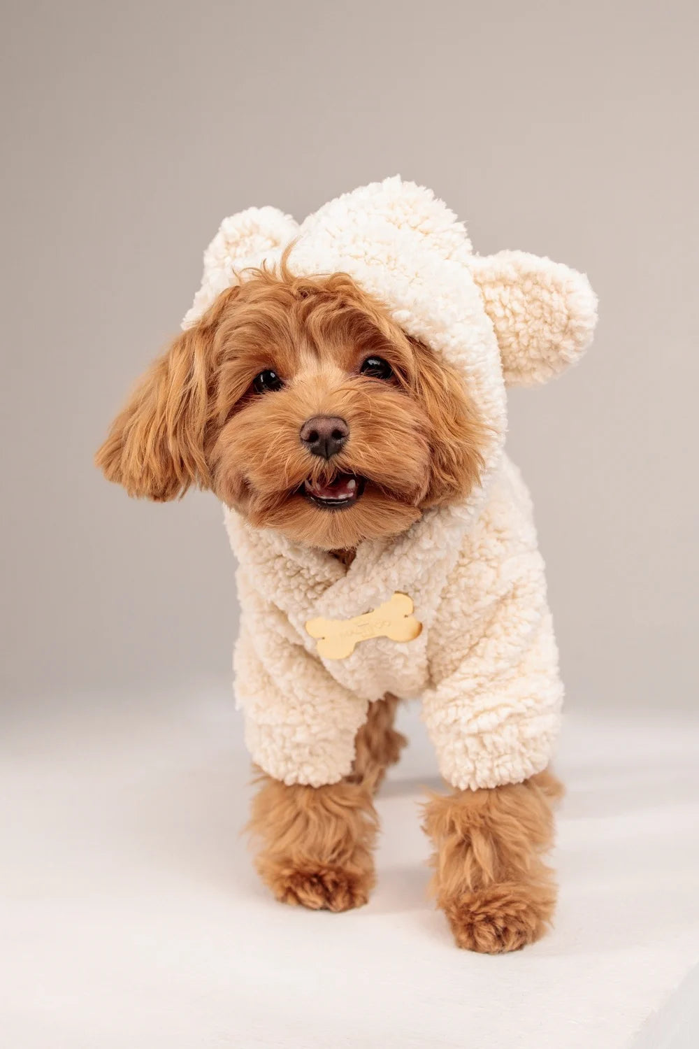 Teddy plush hoodie