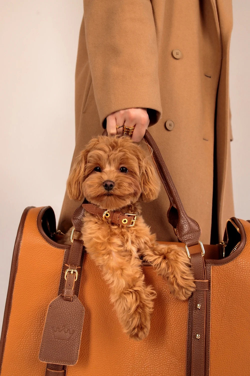 Leather airline carry-on bag "Avia-carrier"