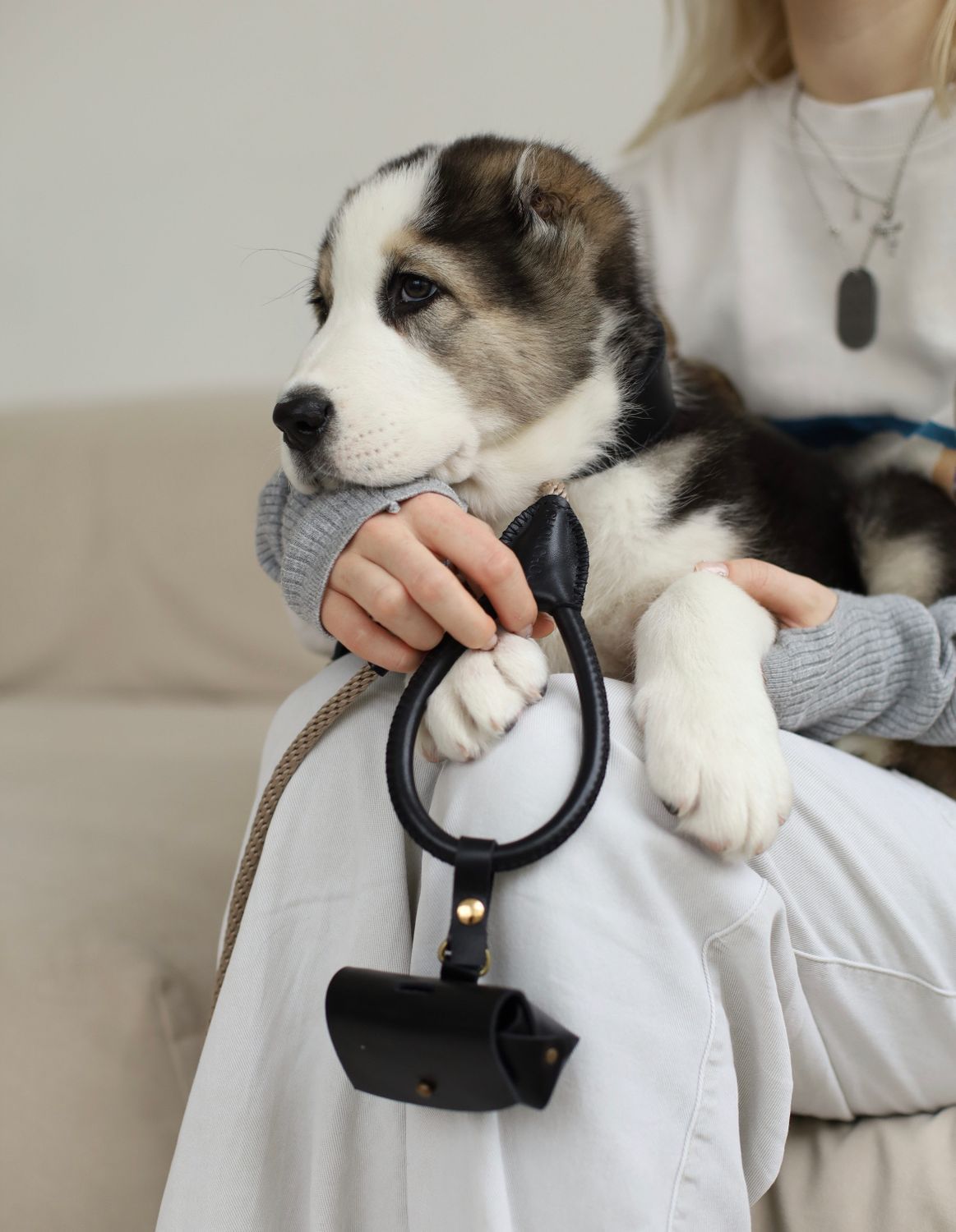 Leather dog dispenser bag "Classy" 
