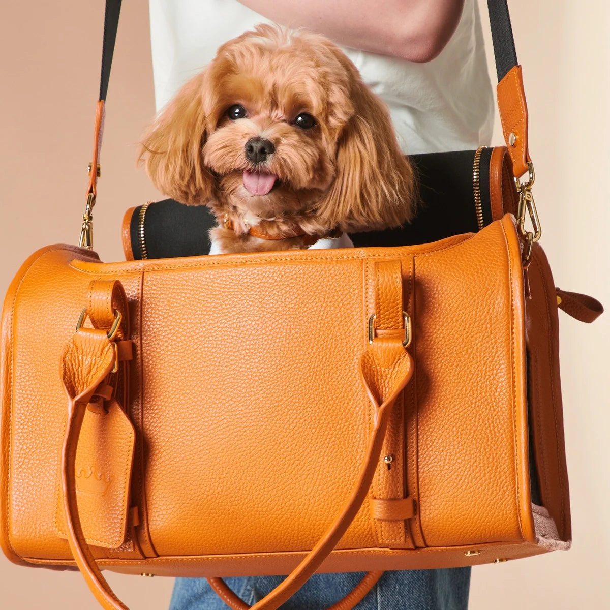 Leather carrying bag "Avia-carrier Mini"