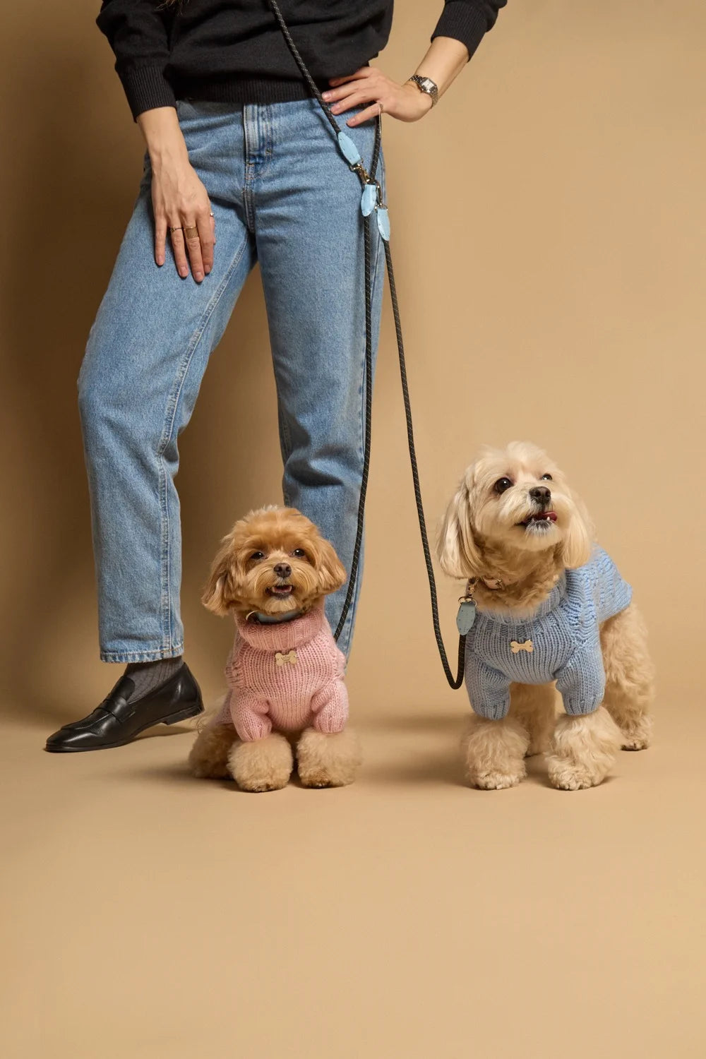 Easy Rope leash