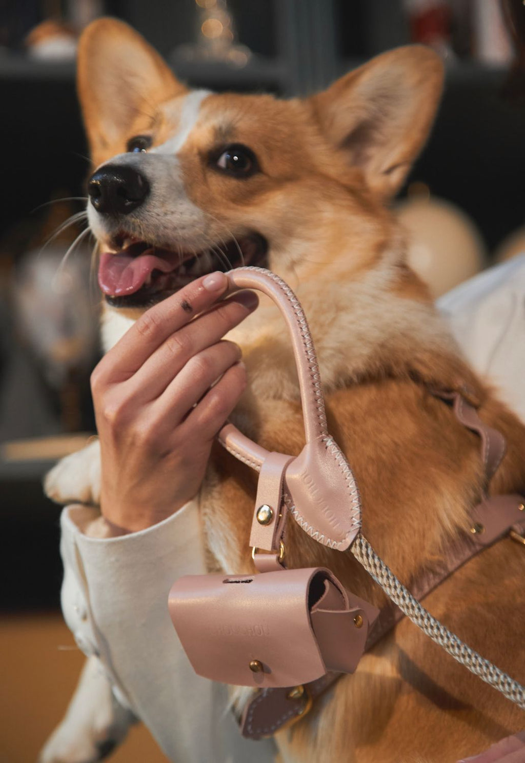 Leather dog dispenser bag "Classy" 