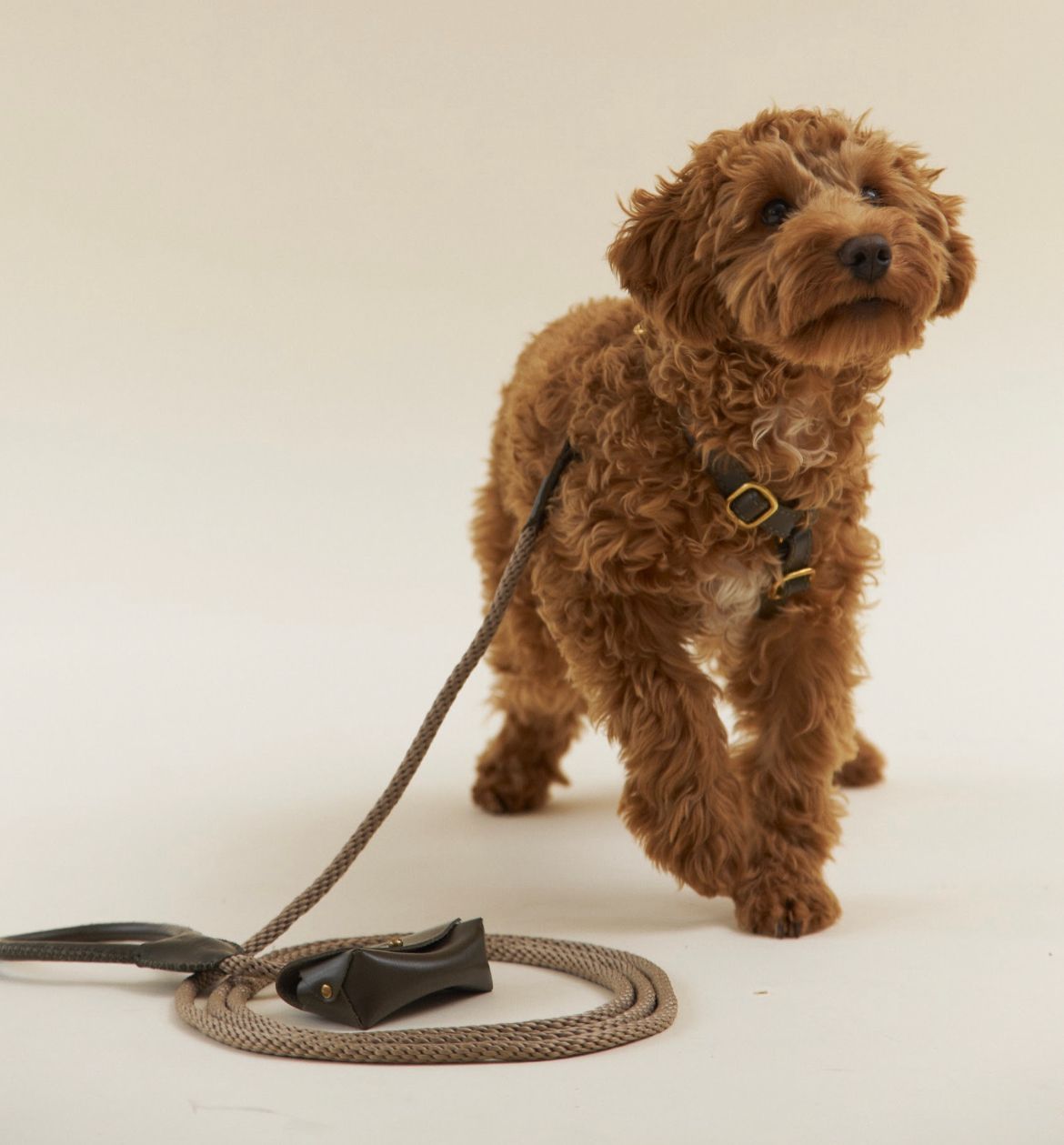 CHOUCHOU Leather leash for dogs "Caviar" white