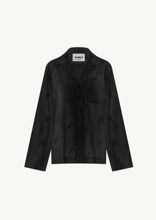 Sheer shirt