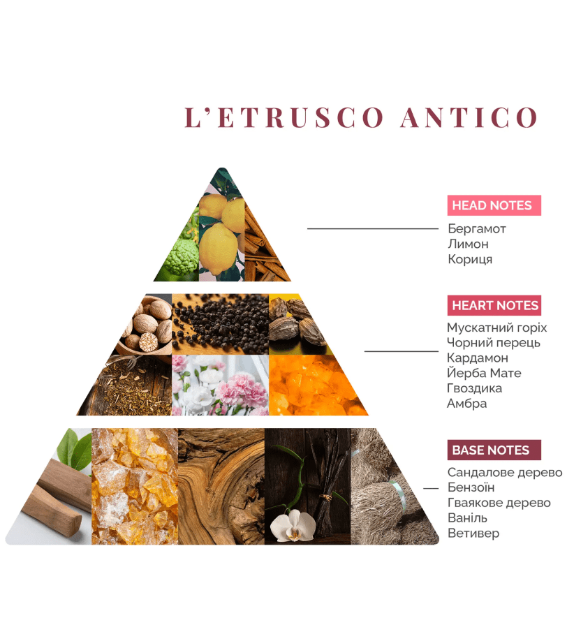 Аромадифузор Logevy Firenze 1000 ML L'Etrusco Antico (Стародавні Етруски)