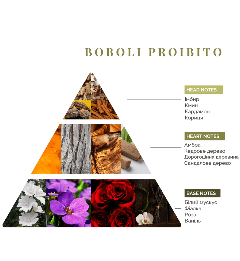 Аромадифузор Logevy Firenze 1000 ML Boboli Proibito (Заборонений сад Боболі)