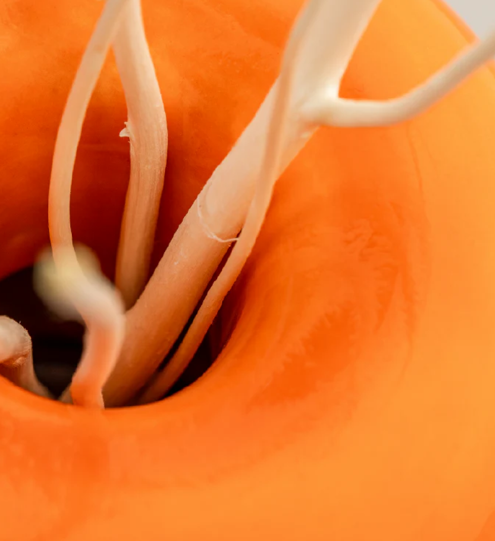 Ароматичний дифузор SAVRUK ЧЕРЕМОШ