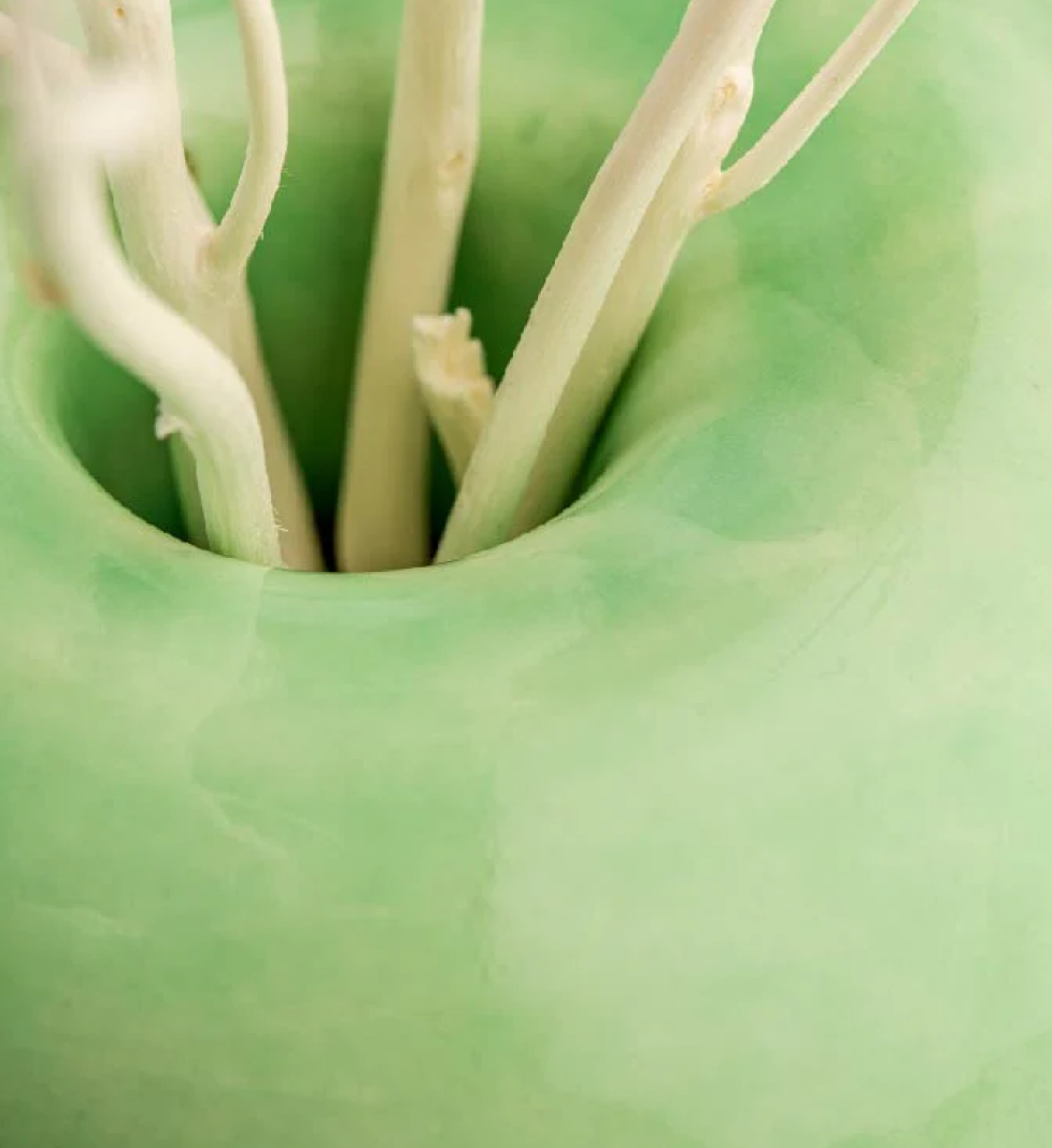 Ароматичний дифузор SAVRUK ПРИРОДА