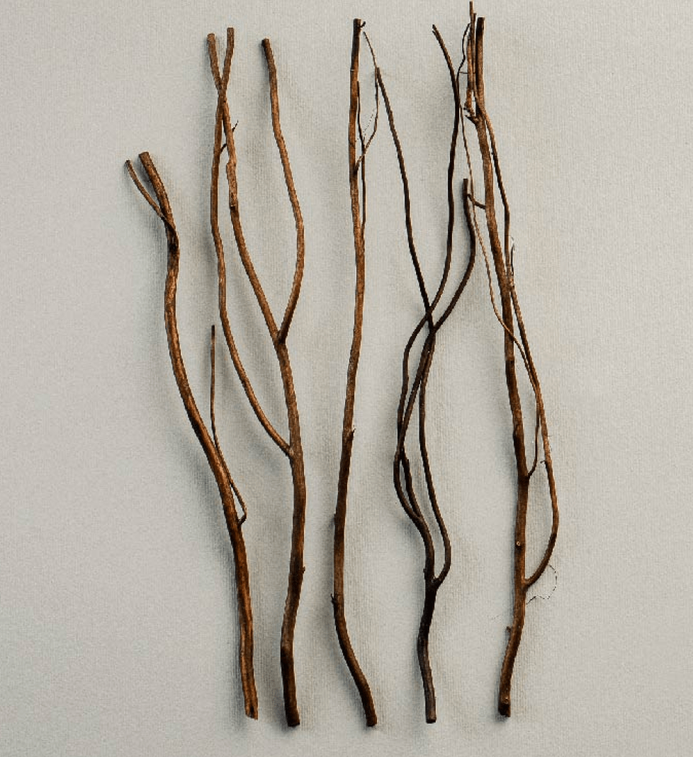 Ароматичний дифузор SAVRUK ЧЕРЕМОШ