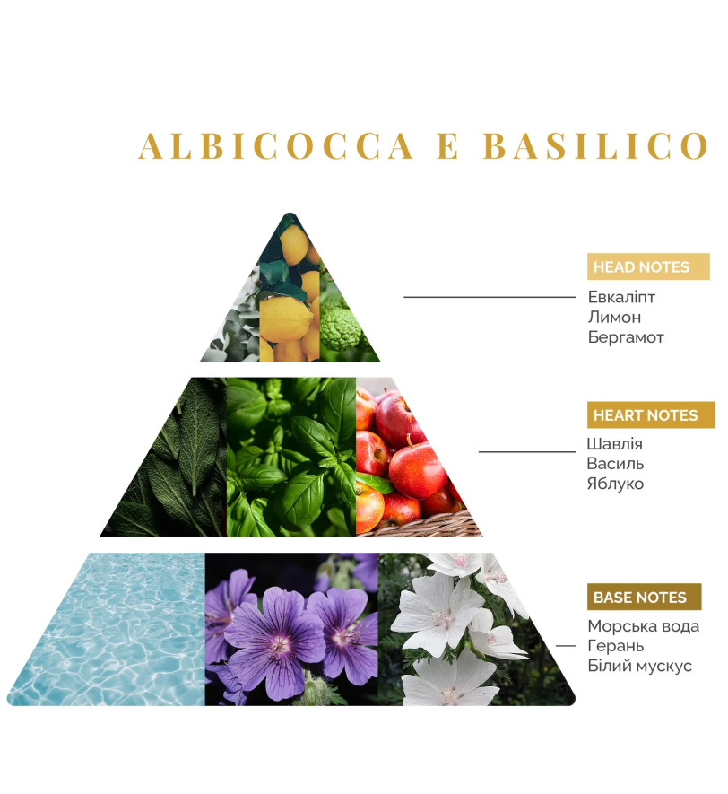 Аромадифузор Logevy Firenze MAGNUM 3000 ML Albicocca e Basilico (Абрикос & Базилік)