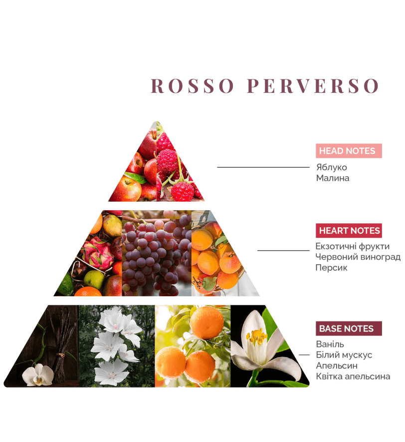 Аромадифузор Logevy Firenze 250 ML Rosso Perverso (Червоне Перверсо)