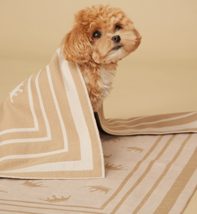 Плед MALTIPOO Beige