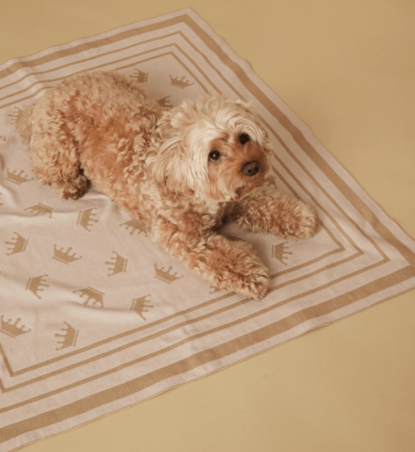 Плед MALTIPOO Beige