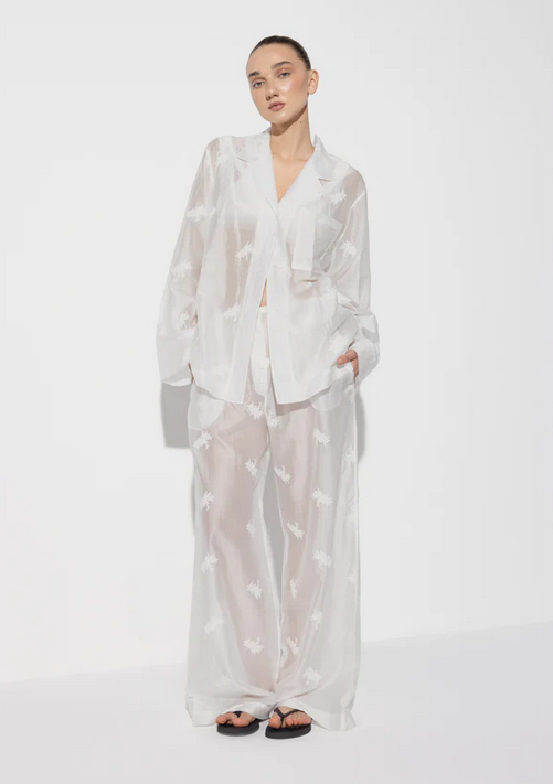 Sheer shirt