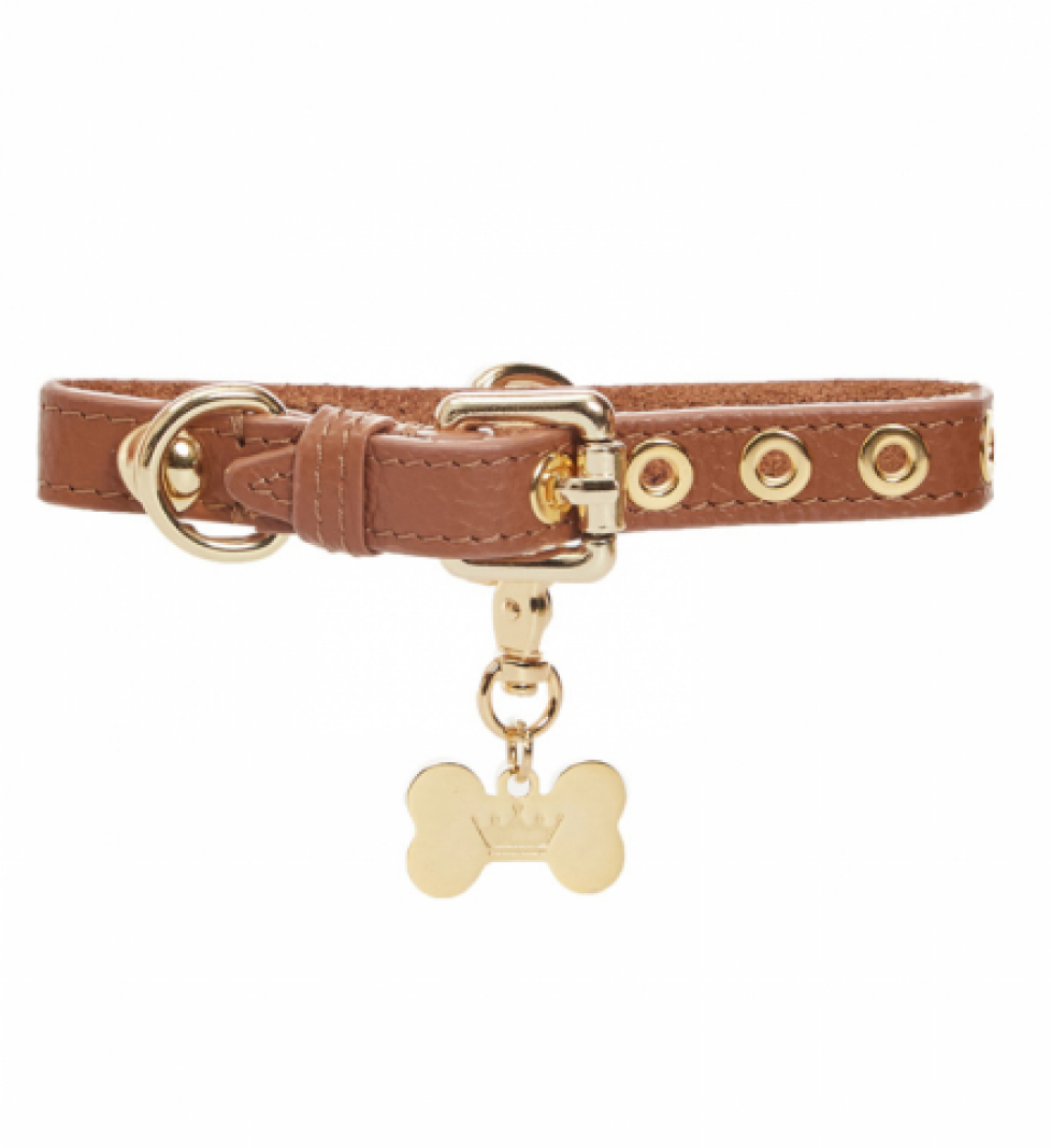Нашийник MALTIPOO Dot Brown