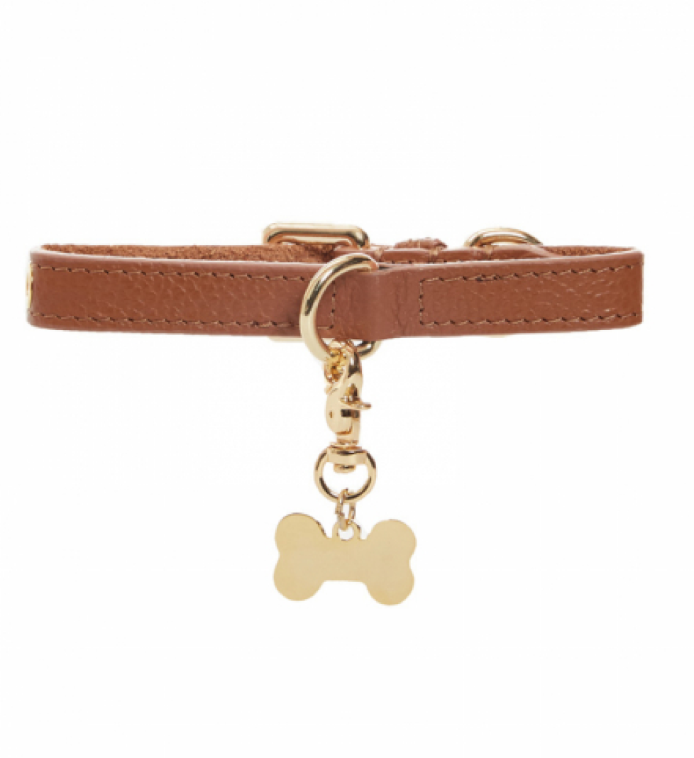 Нашийник MALTIPOO Dot Brown