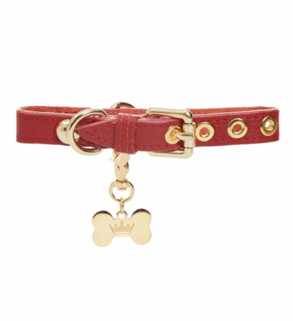 Нашийник MALTIPOO Dot Burgundy