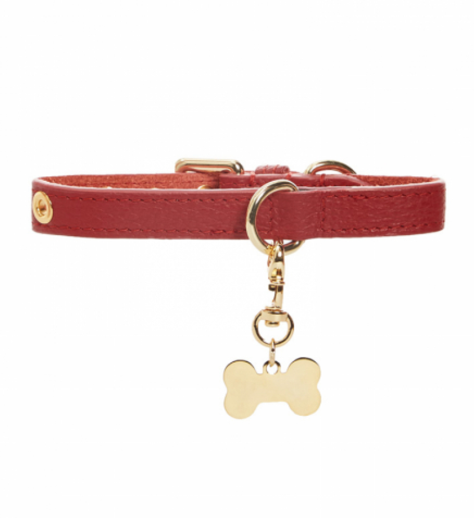 Нашийник MALTIPOO Dot Burgundy