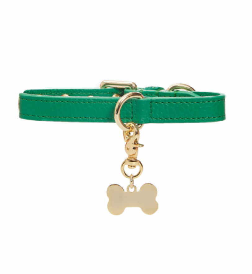 Нашийник MALTIPOO Dot Green