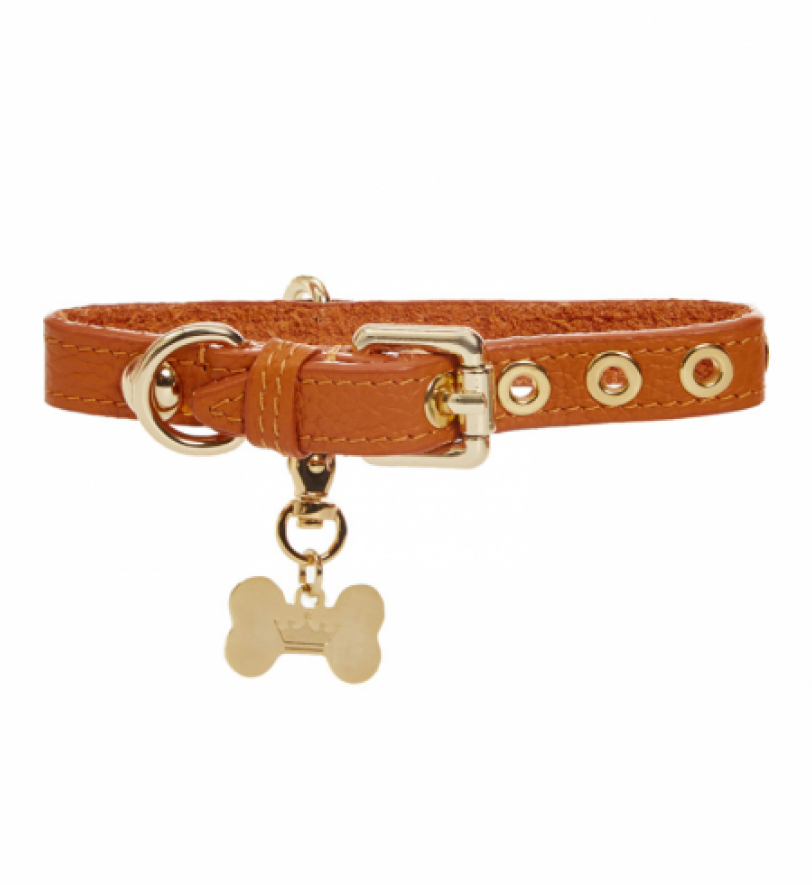 Нашийник MALTIPOO Dot Orange
