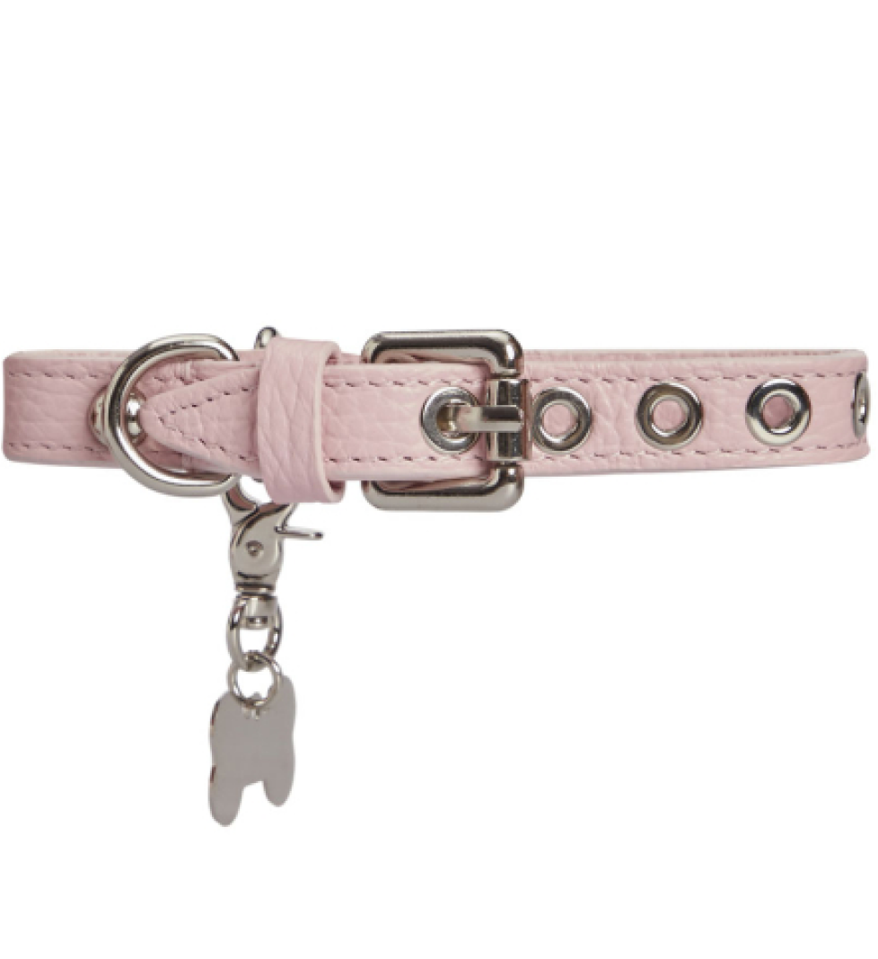 Нашийник MALTIPOO Dot Pink