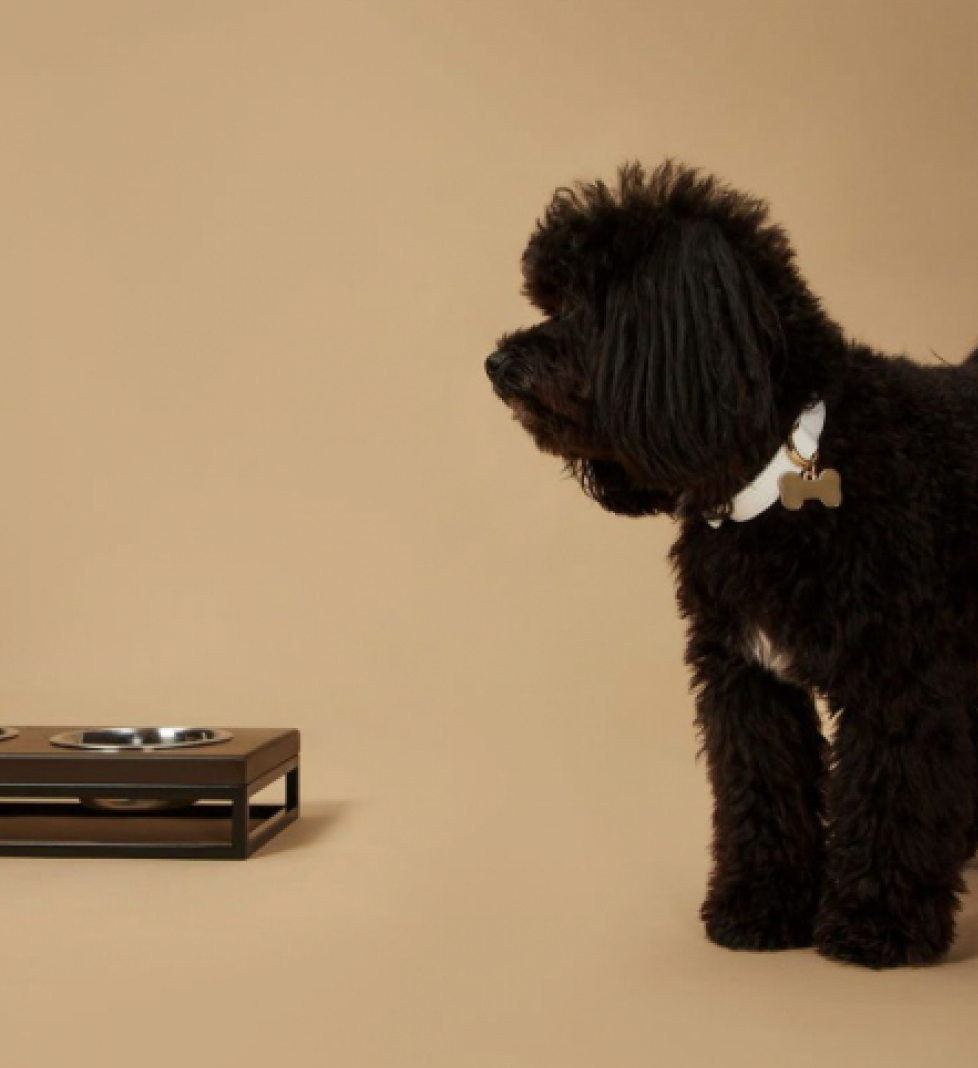 Нашийник MALTIPOO Dot White