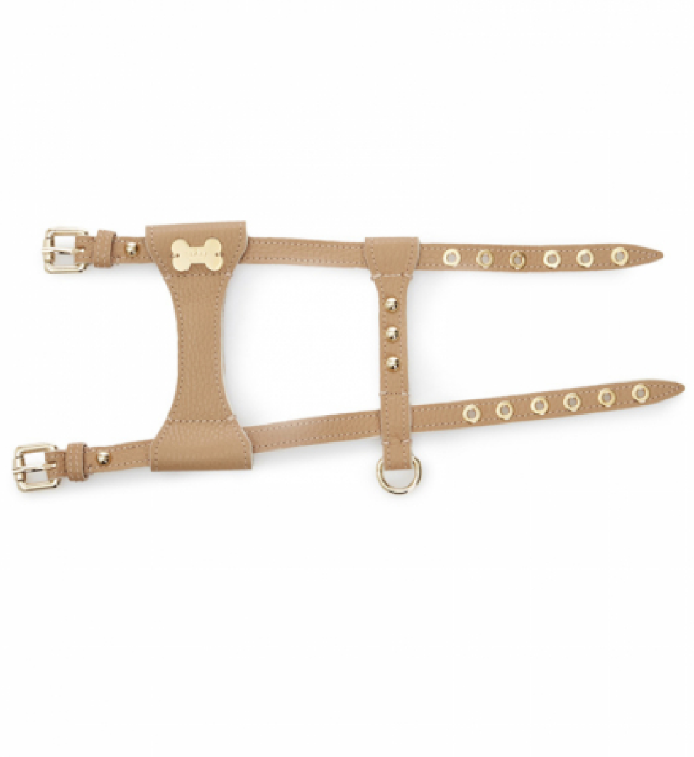 Шлейка Dot MALTIPOO Шкіряна Beige