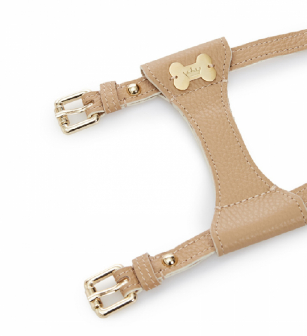 Шлейка Dot MALTIPOO Шкіряна Beige