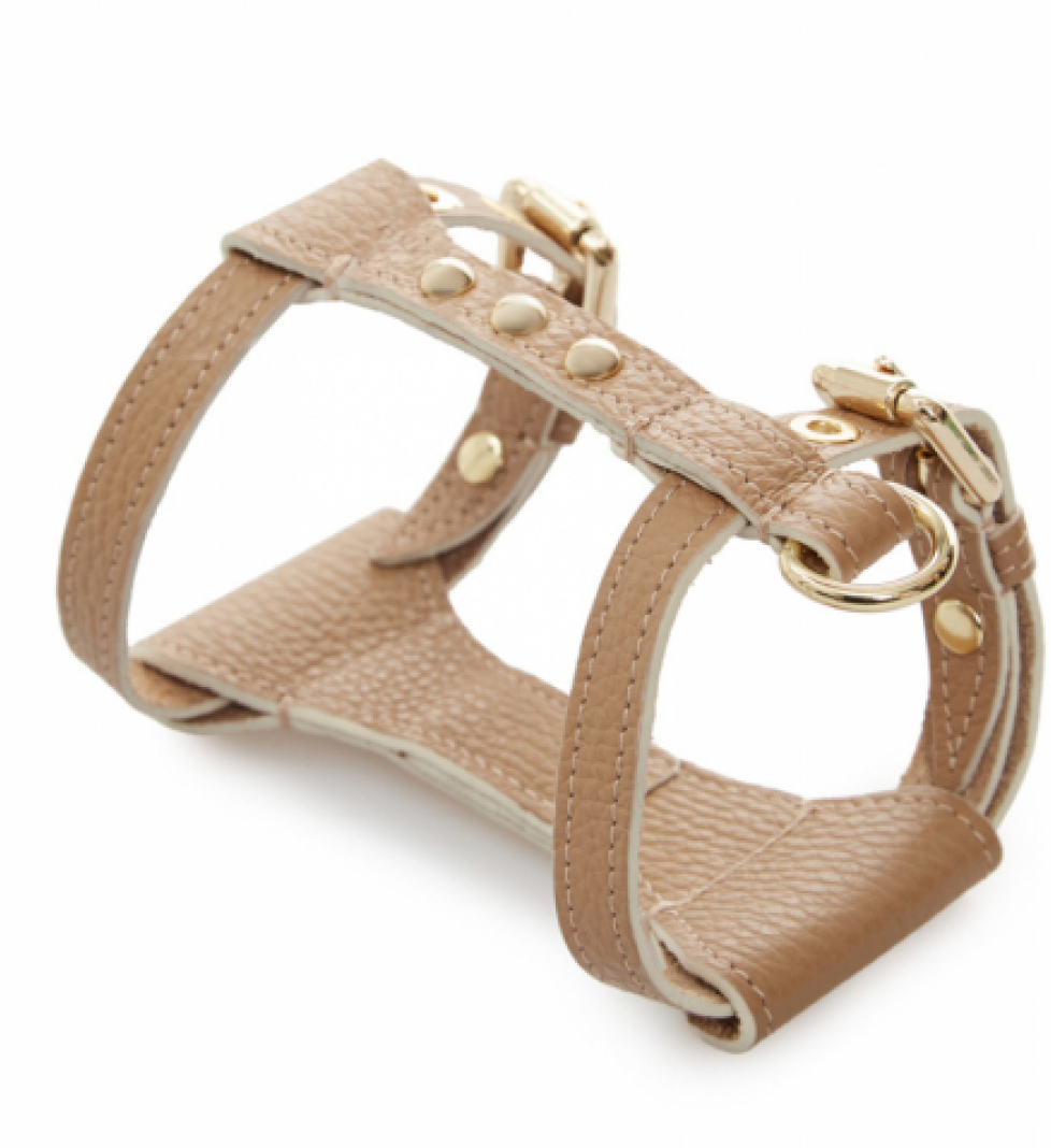 Шлейка Dot MALTIPOO Шкіряна Beige