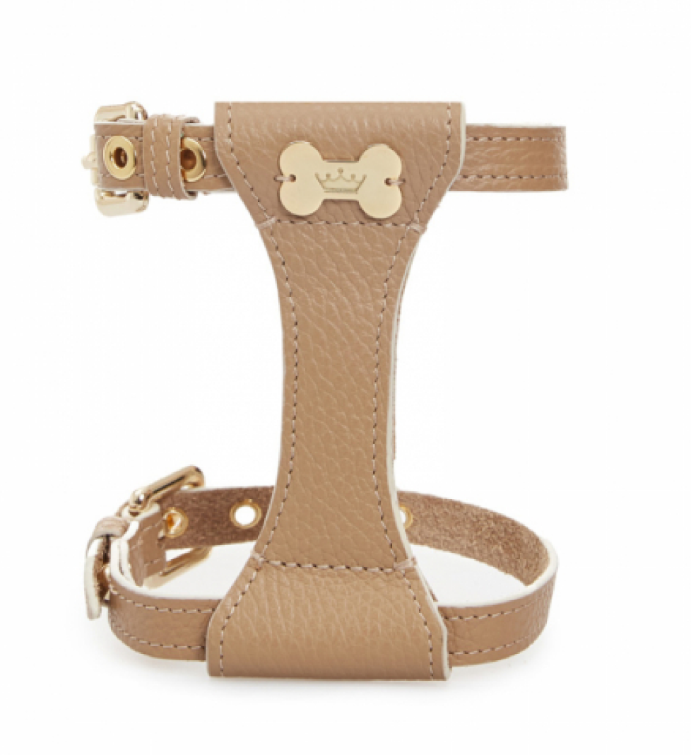 Шлейка Dot MALTIPOO Шкіряна Beige