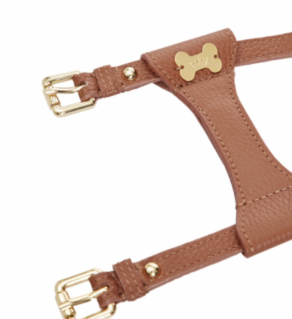 Шлейка Dot MALTIPOO Шкіряна Brown