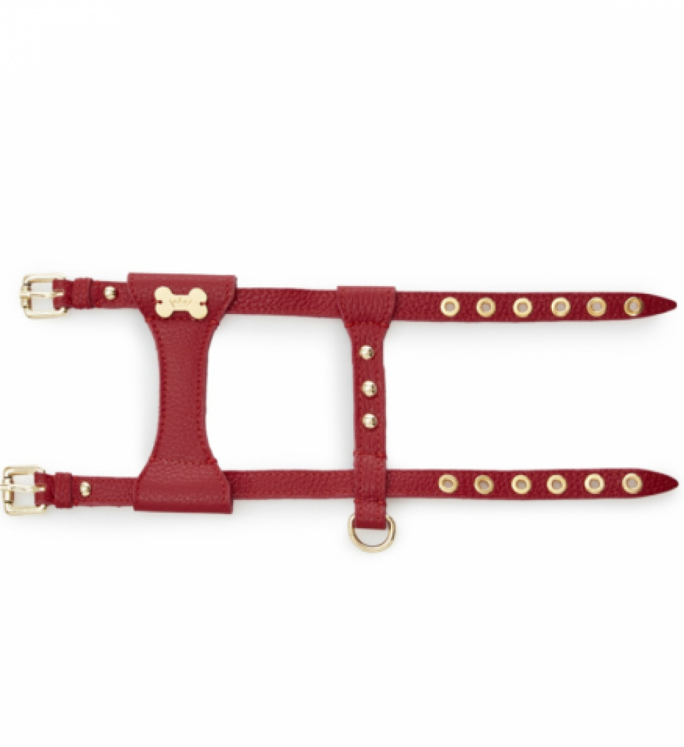 Шлейка Dot MALTIPOO Шкіряна Burgundy