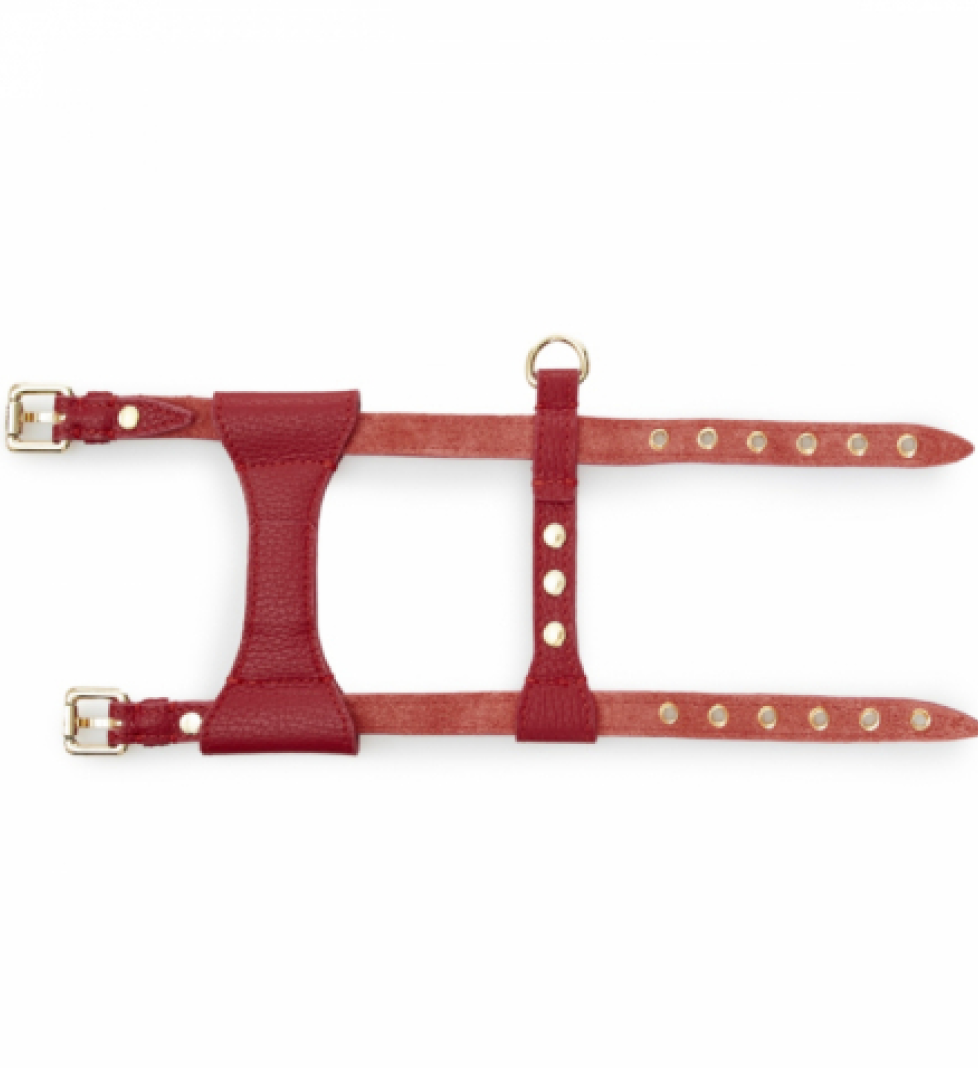 Шлейка Dot MALTIPOO Шкіряна Burgundy