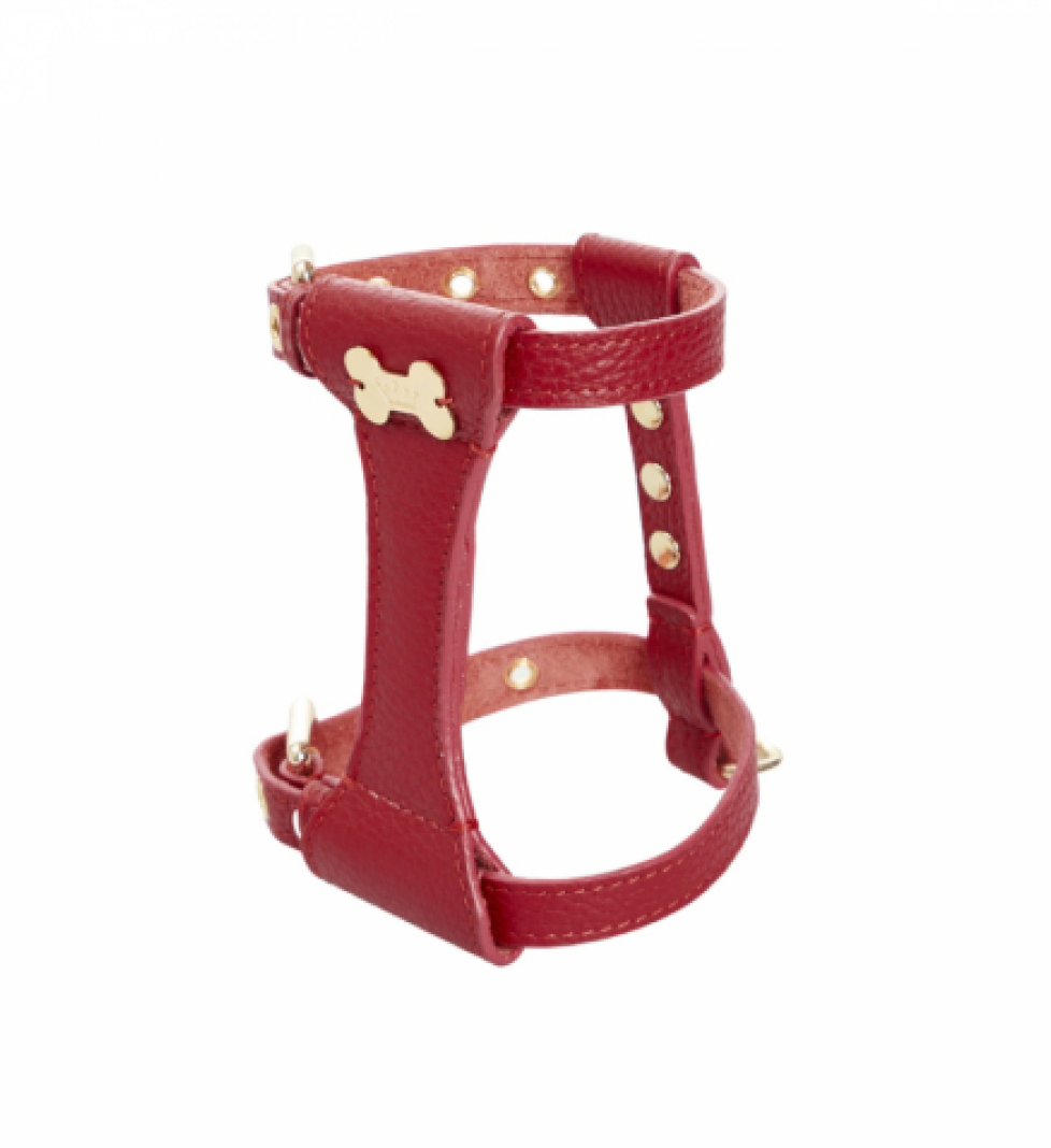 Шлейка Dot MALTIPOO Шкіряна Burgundy