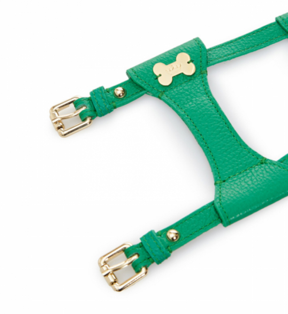 Шлейка Dot MALTIPOO Шкіряна Green