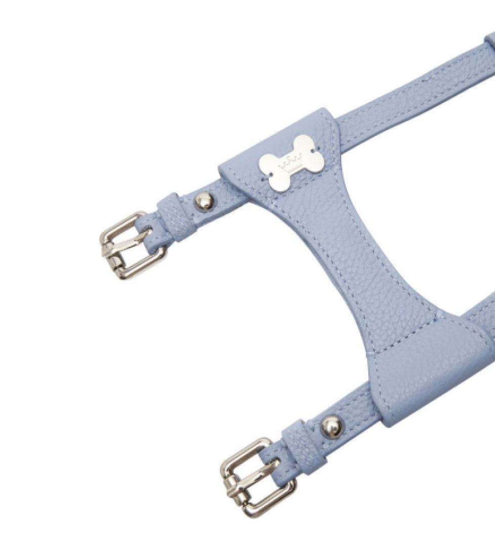 Шлейка Dot MALTIPOO Шкіряна Light Blue