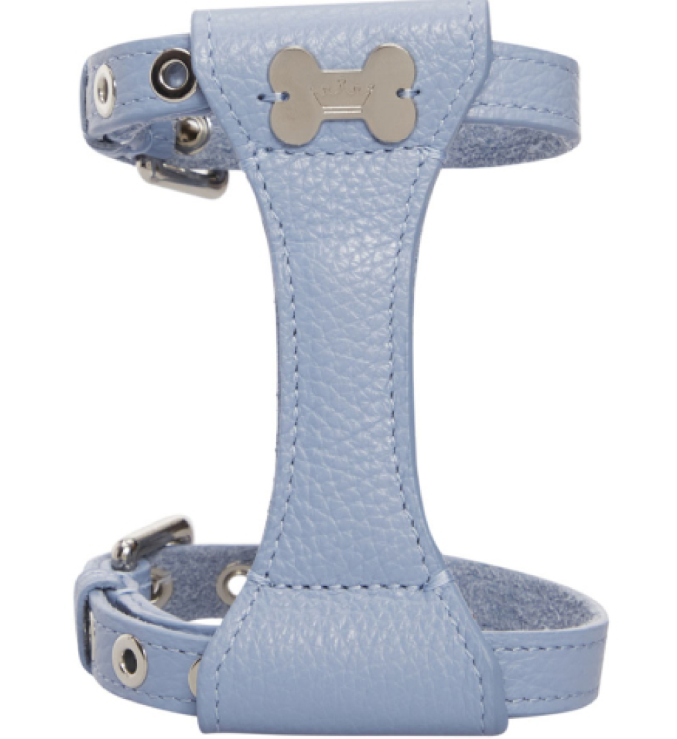 Шлейка Dot MALTIPOO Шкіряна Light Blue