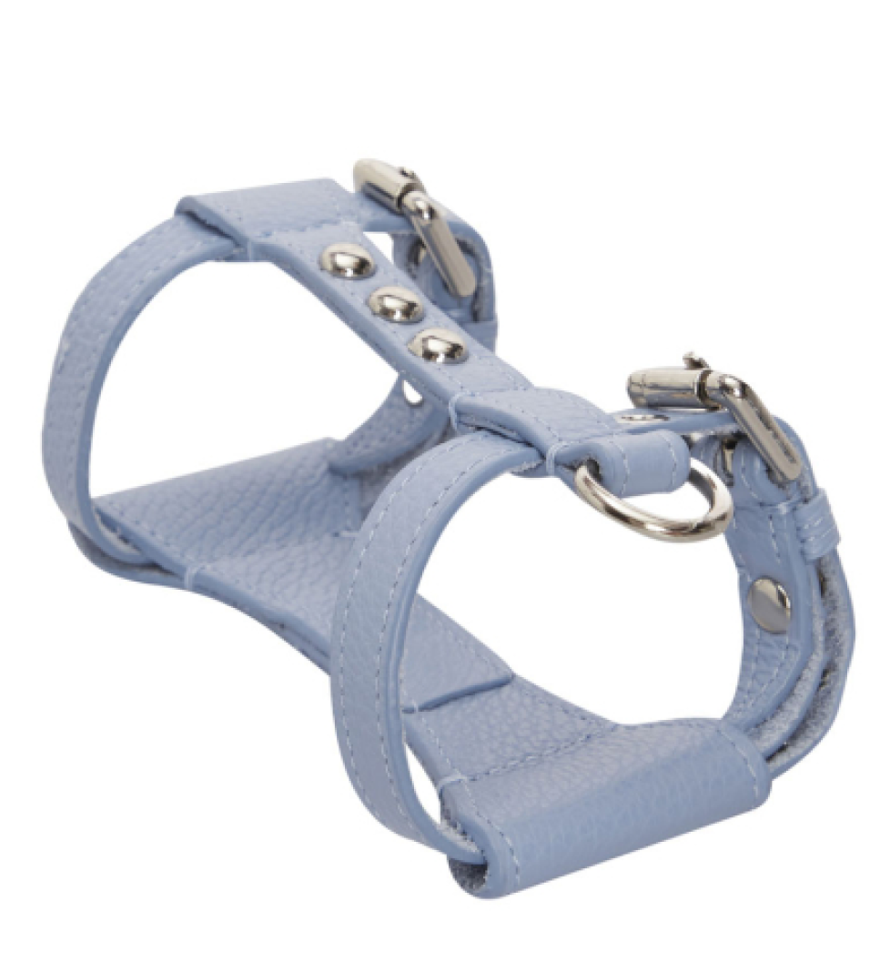 Шлейка Dot MALTIPOO Шкіряна Light Blue