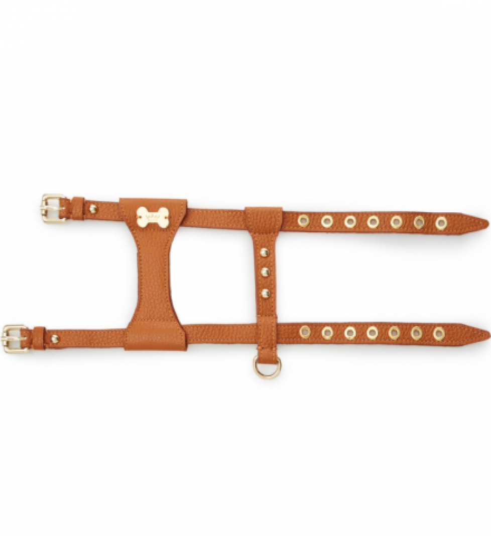 Шлейка Dot MALTIPOO Шкіряна Orange