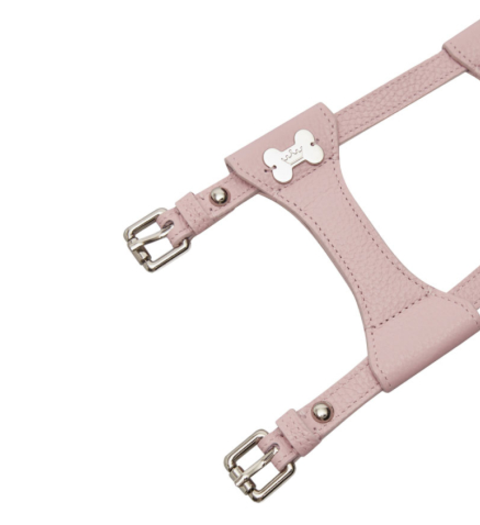 Шлейка Dot MALTIPOO Шкіряна Pink