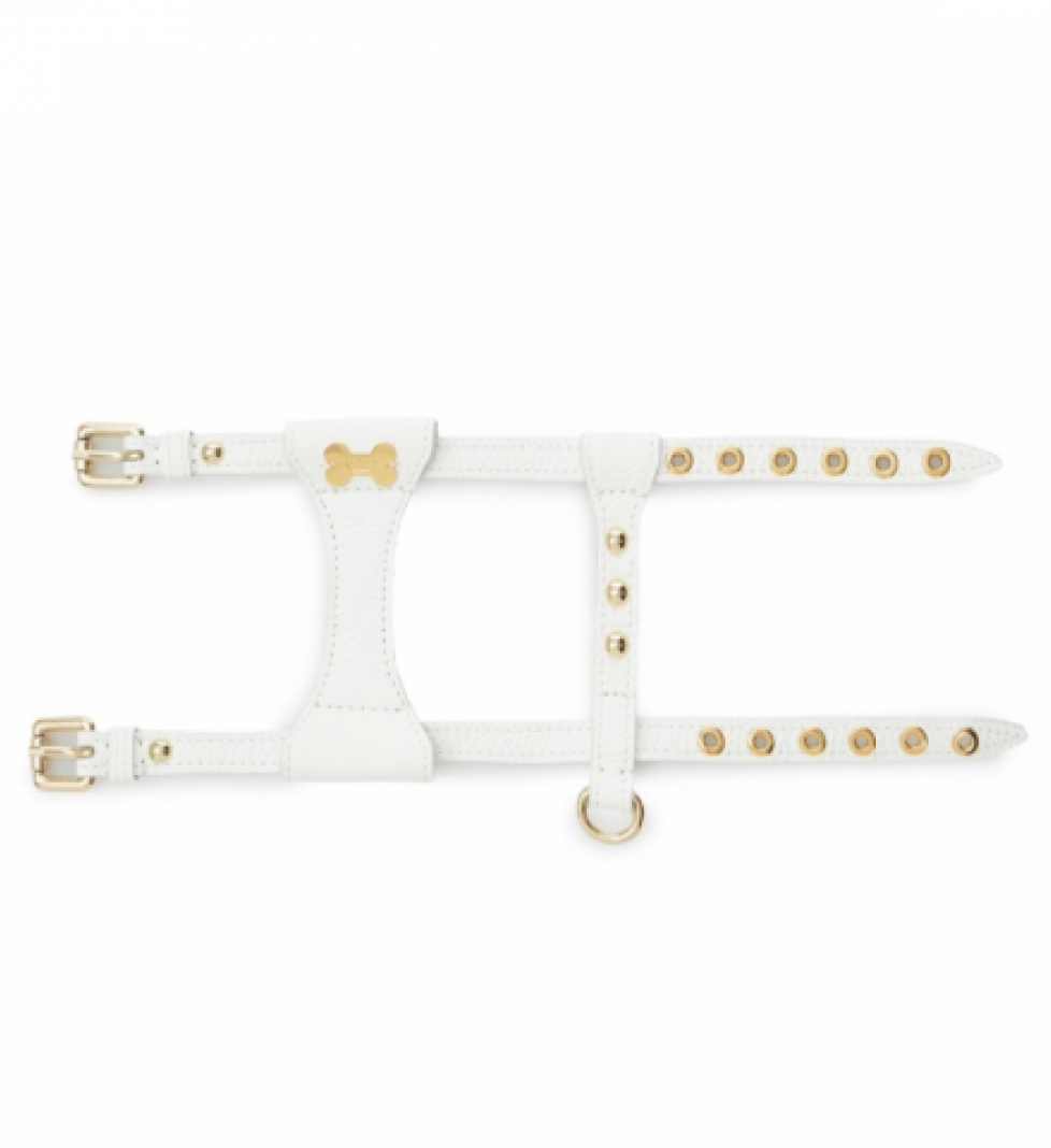 Шлейка Dot MALTIPOO Шкіряна White