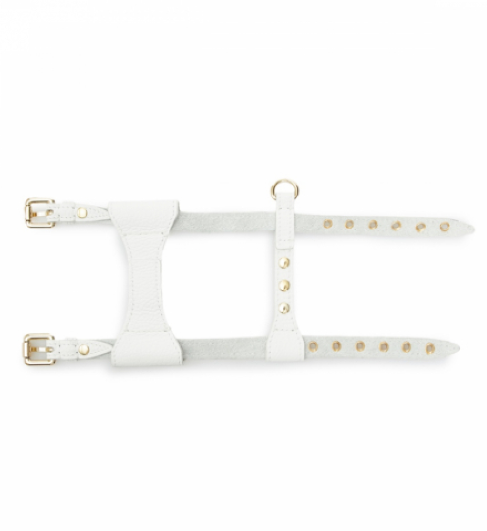 Шлейка Dot MALTIPOO Шкіряна White